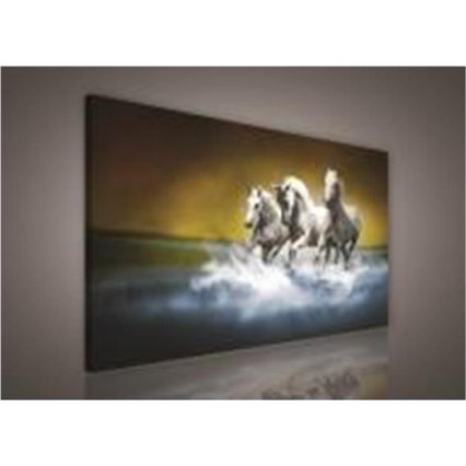 Obraz na plátně Cválající koně 100 x 75 cm