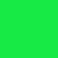 5567-zelena.jpg