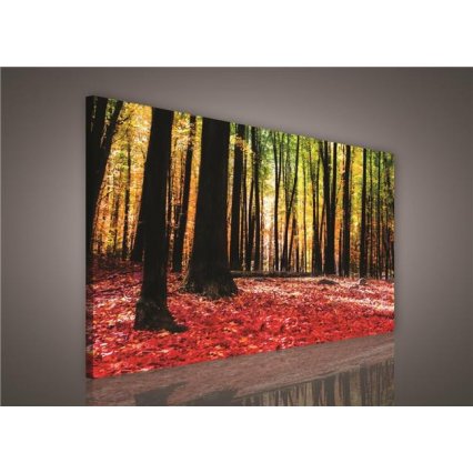 Obraz na plátně Podzimní les 100 x 75 cm