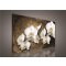 Obraz na plátně Orchidej 5 100 x 75 cm