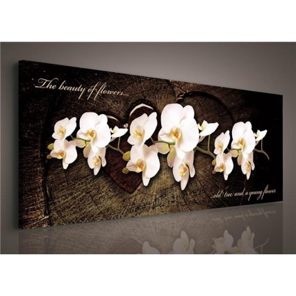 Obraz na plátně Orchidej 4 145 x 45 cm
