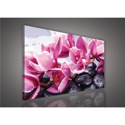 Obraz na plátně Orchidej na kameni 100 x 75 cm