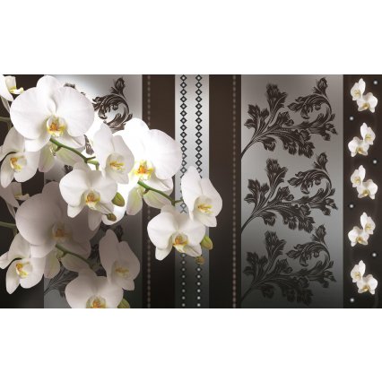 Fototapeta Twigs orchid