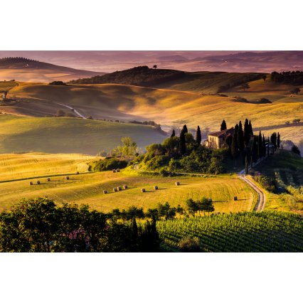 Fototapeta Tuscany