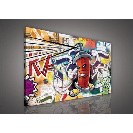 Obraz na plátně Graffiti 100 x 75 cm
