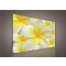 Obraz na plátně Flowers 100 x 75 cm