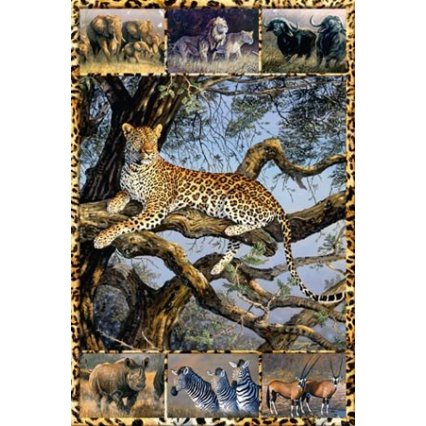 Plakát Multipic - African Wild