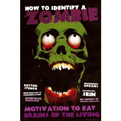 Plakát Identify A Zombie
