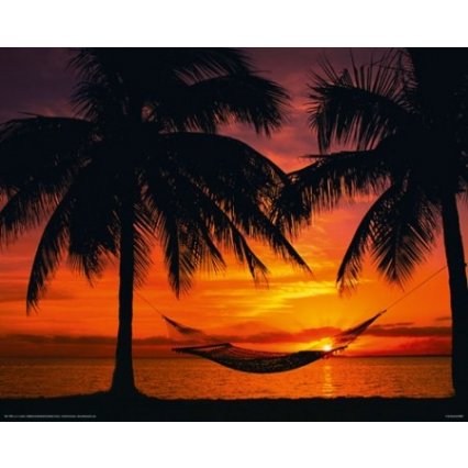 Plakát Sunset on the Beach