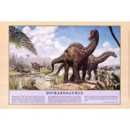 Plakát Dicraeosaurus