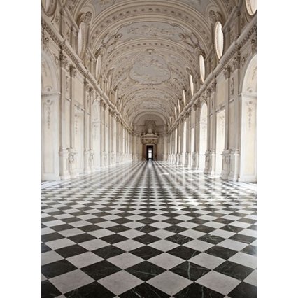 Fototapety na zeď Palace of Venaria 00861