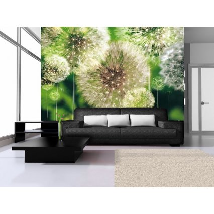 Fototapeta Pampelišky 