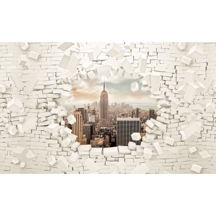 3D Fototapeta Pohled na New York