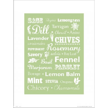 Reprodukce Herb Types