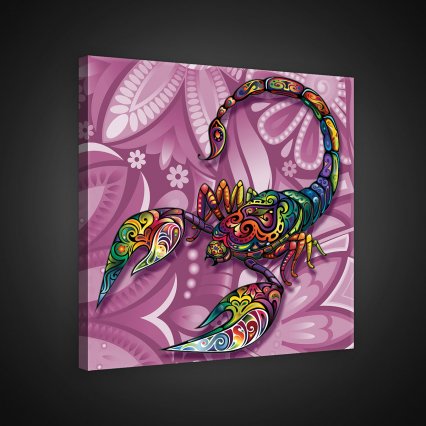 Obraz na plátně Scorpion 80 x 80 cm