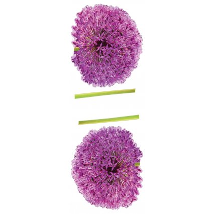 Samolepka Flower SPN29WD
