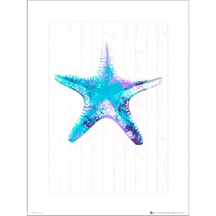 Reprodukce Seaside Starfish Blue