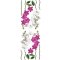 Samolepka Orchids SPN40WD