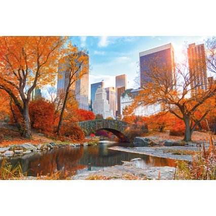 Plakát New York Central Park