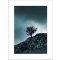 Reprodukce Dark Winter Tree