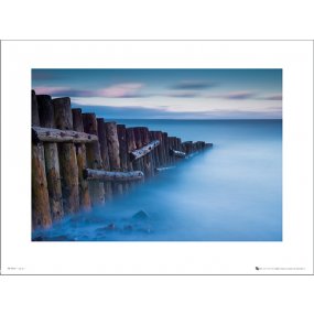 Reprodukce Tom Mackie Sea 