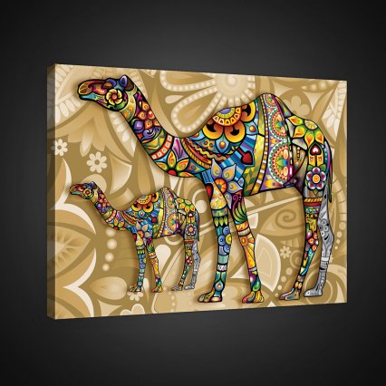 Obraz na plátně Camel 100 x 75 cm