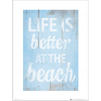 Reprodukce Life Is Better At The Beach