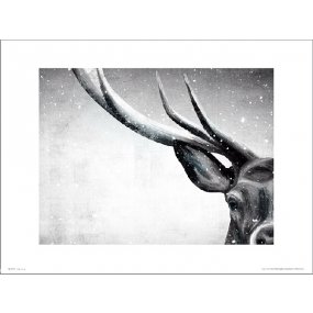 Reprodukce Deer Snow