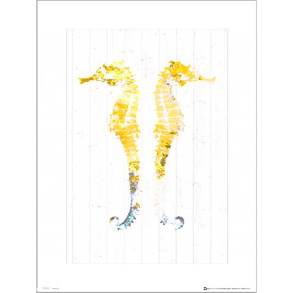 Reprodukce Seaside Seahorse Yellow