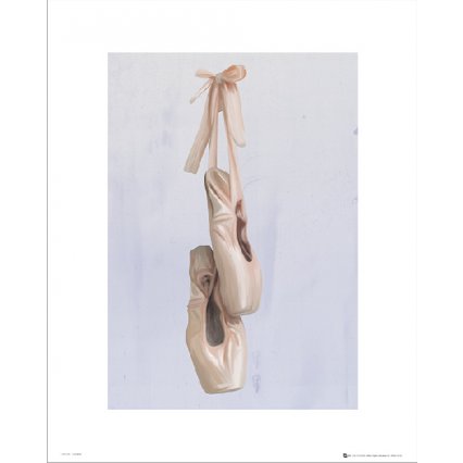 Reprodukce Ballet Shoes