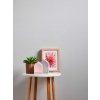 tapety na zeď Simply White 641618