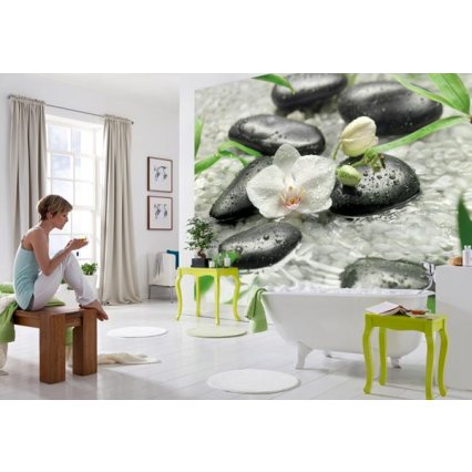 Fototapety na zeď Pure 8-319