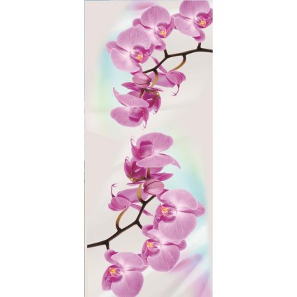 Fototapety na dveře Orchid 2