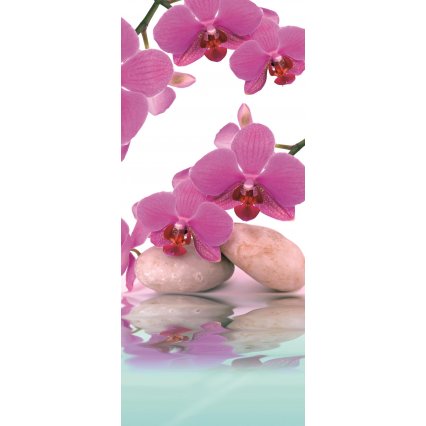 Fototapety na dveře Orchids 2