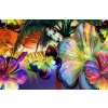 Fototapeta Colorful butterflies