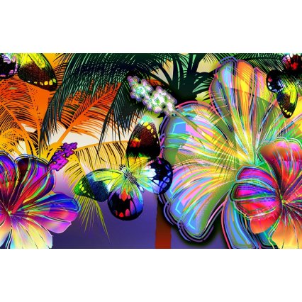 Fototapeta Colorful butterflies