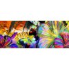 Fototapeta panoramatická vliesová Colorful butterflies