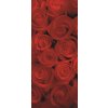 Fototapeta na dveře Red roses