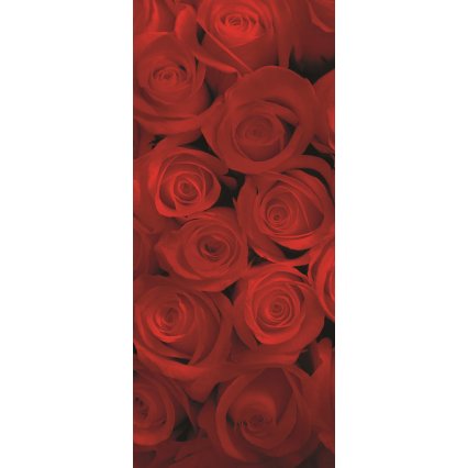 Fototapeta na dveře Red roses