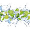 Fototapeta Limes