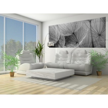 Fototapeta panoramatická vliesová Grey interior of dandelion