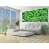 Fototapeta panoramatická vliesová Green Ivy