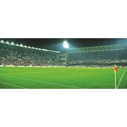 Fototapeta panoramatická vliesová Stadium