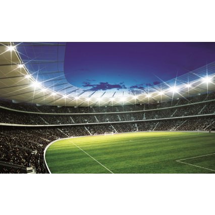 Fototapeta Stadium