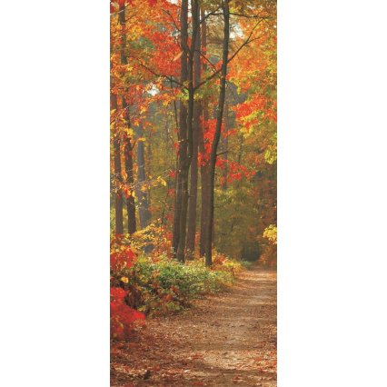 Fototapeta na dveře Podzimní les