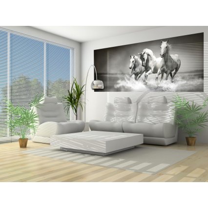 Fototapeta panoramatická vliesová Cválající koně