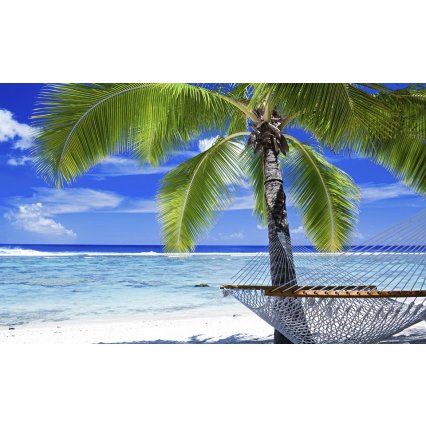 Fototapeta Beach palms and hammock