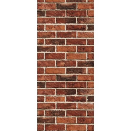 Fototapeta na dveře Brick wall