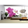 Fototapeta Spa stones with orchid