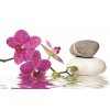 Fototapeta Spa stones with orchid